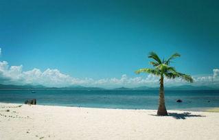 海(hai)南(nan) 新型(xing)旅遊(you)產(chan)品重(zhong)環保 旅行社(she)發(fa)展謀(mou)升(sheng)級