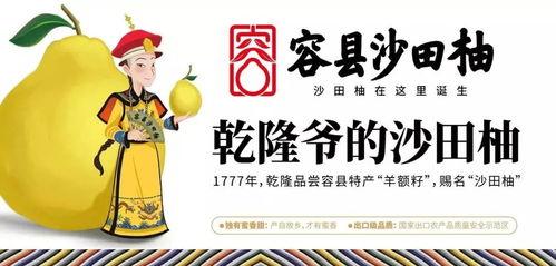 夢回唐朝楊貴妃，沙(sha)田(tian)有(you)柚(you)震(zhen)乾隆(long)——廣(guang)西(xi)旅(lv)遊年卡(ka)與旅(lv)發(fa)旅(lv)行社(she)集團(tuan)攜手(shou)共譜(pu)文(wen)化之旅