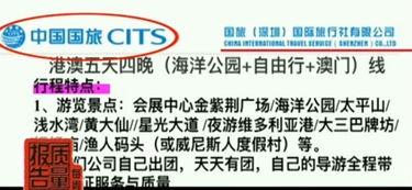 警惕假(jia)冒旅行(xing)社(she)陷阱(jing) 如(ru)何(he)識(shi)破(po)與(yu)防(fang)範(fan)旅遊(you)詐(zha)騙